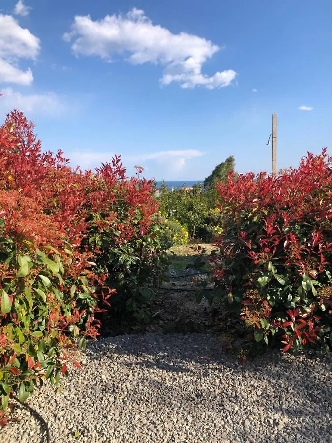 Agriturismo Azzurra Biricchina Riva Ligure Feriegård